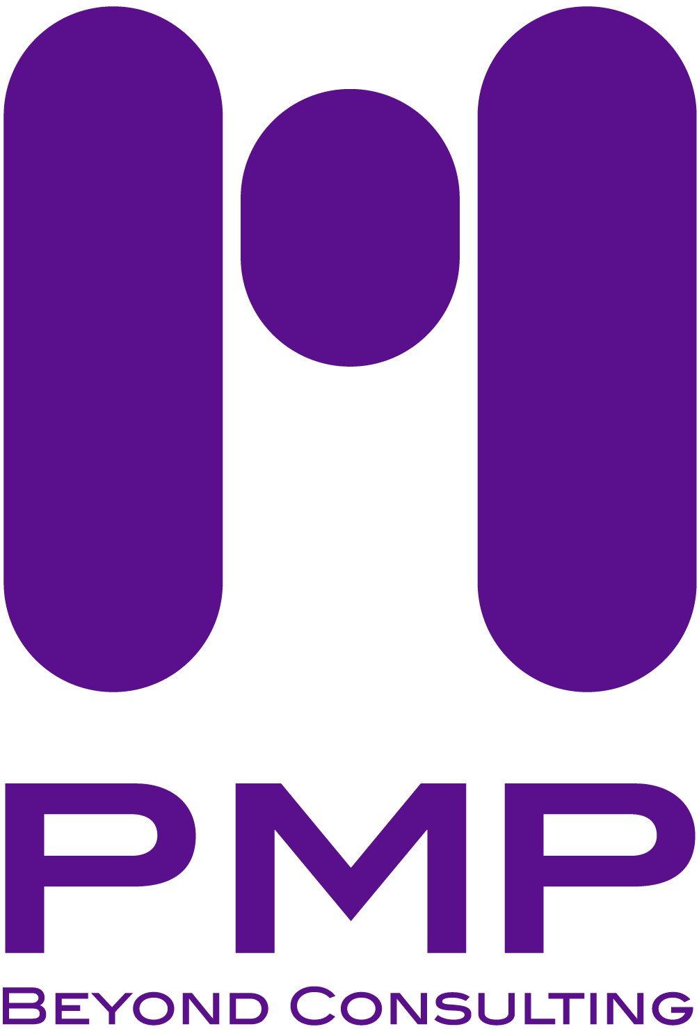 pmp beyond consulting