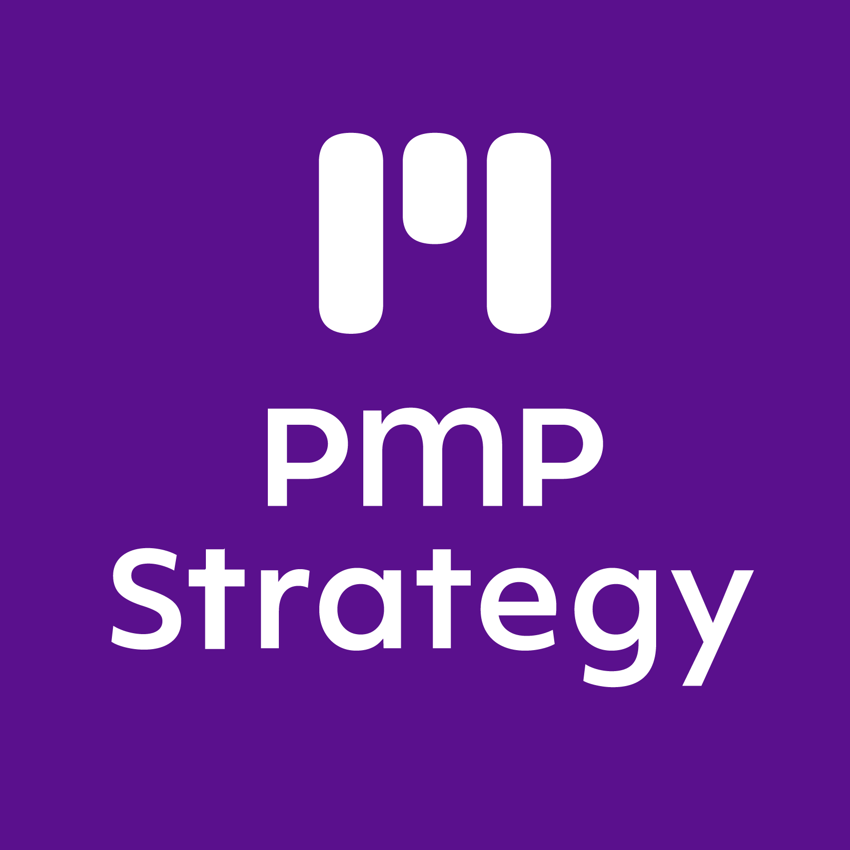 pmp beyond consulting