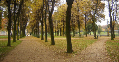 recherche-croisee-chemins