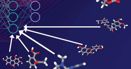 reseau-neuronal-criblage-molecules